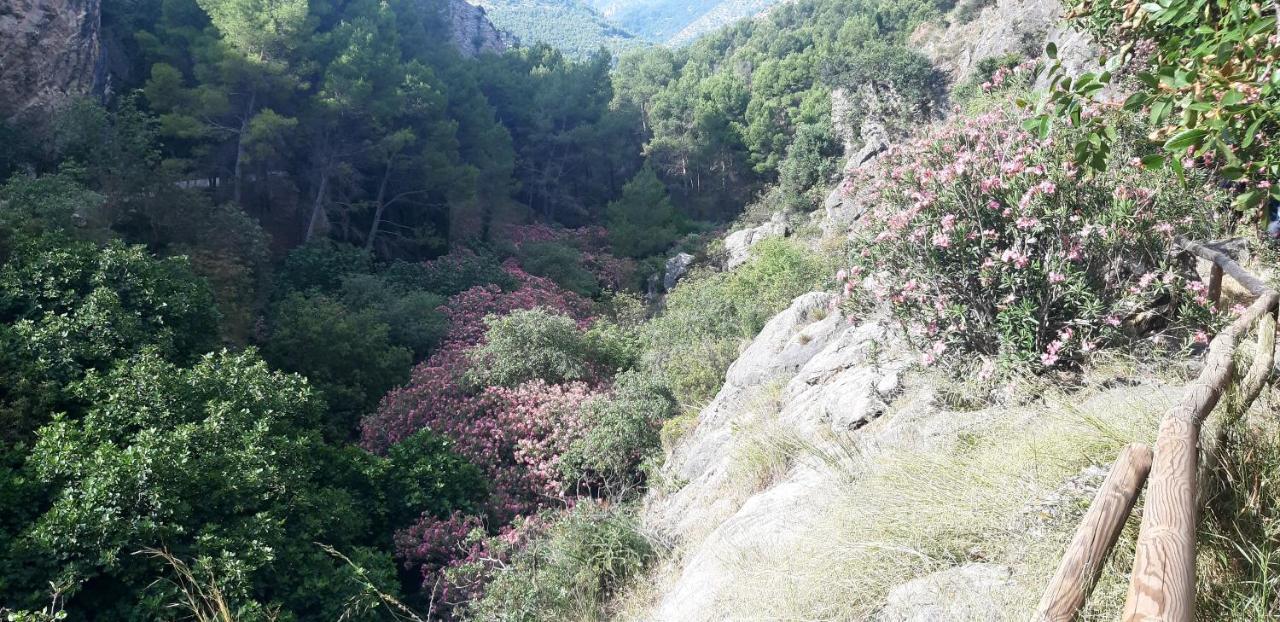 Hostal Rural De Cuadros Bedmar y Garciez Bagian luar foto